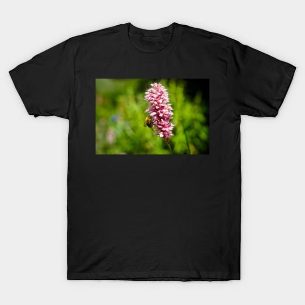 Beautiful Pink Flower With A Bee Pollinating And Green Background T-Shirt by Harmony-Mind